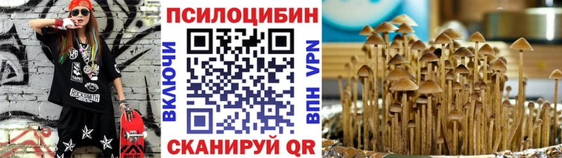 Галлюциногенные грибы мицелий Урюпинск